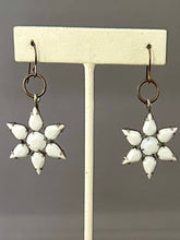 Load image into Gallery viewer, Icelyn Earrings
